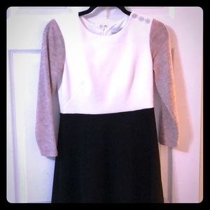Loft long sleeves dress.